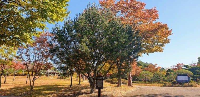 Hanbat Arboretum