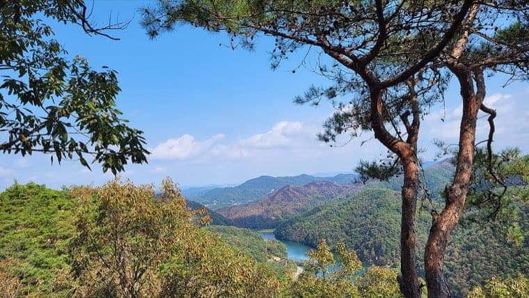 Jangtaesan Forest