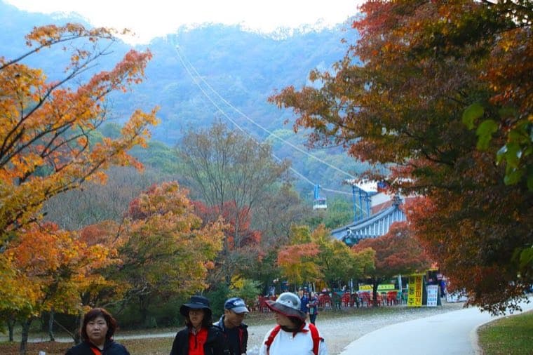 Naejangsan Mountain
