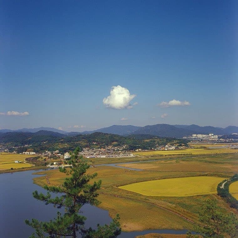 Suncheonman Bay Wetland